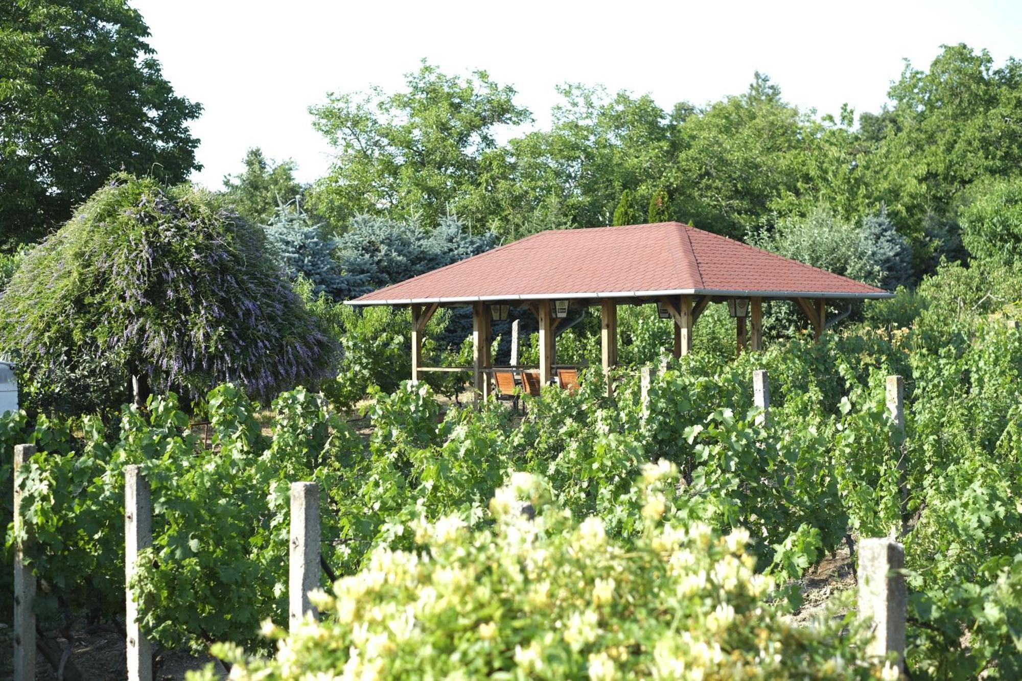 Panorama Apartmanhaz Sarvar Exterior photo