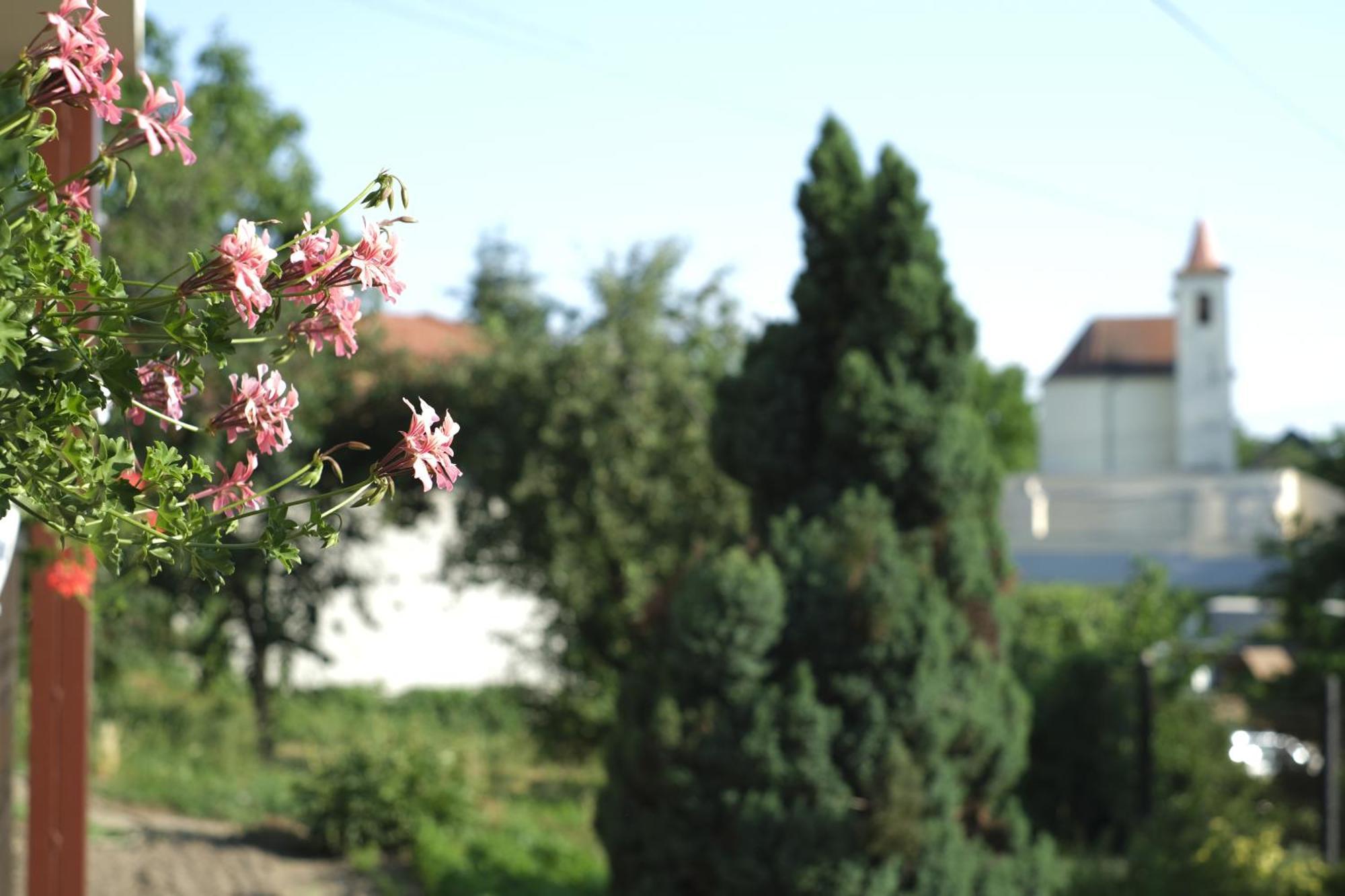 Panorama Apartmanhaz Sarvar Exterior photo