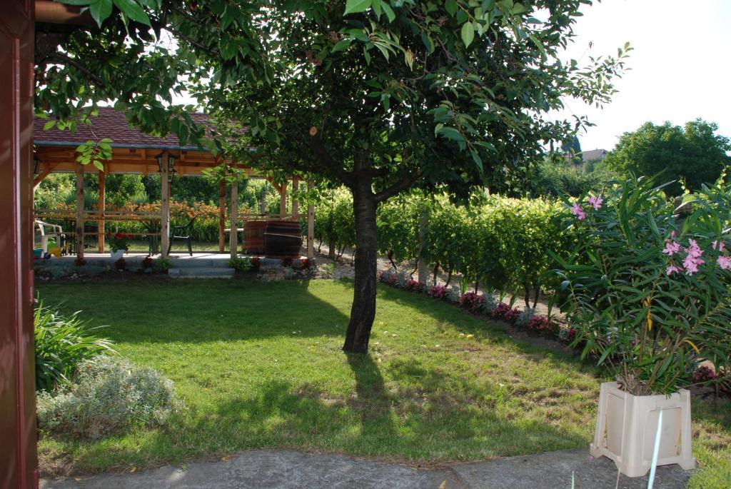 Panorama Apartmanhaz Sarvar Exterior photo