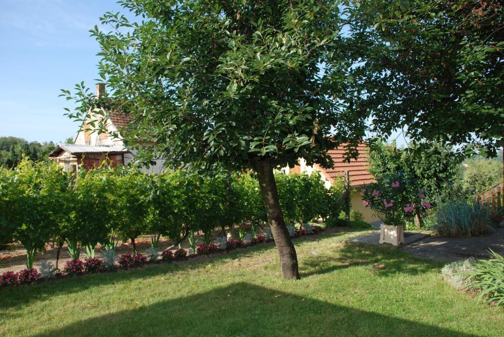 Panorama Apartmanhaz Sarvar Exterior photo
